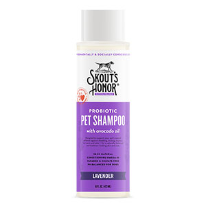 Probiotic Shampoo - Lavender