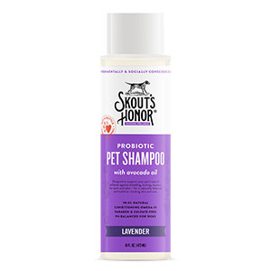 Probiotic Shampoo - Lavender